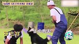有种疼只有男人懂，黄磊差点断后，罗志祥疼痛难忍直接下跪