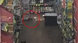 澳大利亚一家药店被拍到老鼠成群结队在店内过道上奔跑