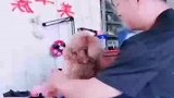浑身发软，一脸无辜，我没有做错什么坏粑粑欺负我干嘛？