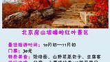 推荐11月最适合旅游的地方，攒好的年假是时候用了