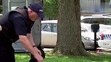 国外恶搞：警察发现狗狗随地大小便,对它进行搜身并抓走了