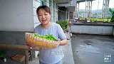 下雨天，媳妇在家做好吃，花元炖一锅牛腩