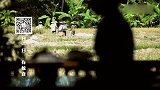 《一起旅游吧》预告-巴厘岛（上集）