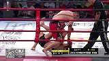 格斗-15年-220斤硬汉25秒TKO 铁拳10连击裁判叫停-新闻