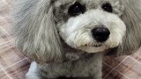 这孩子闹上觉了