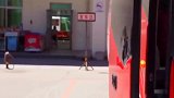 我是精神病 杀人不偿命 人在江湖飘 上哪都带刀！