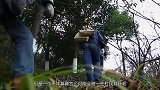 三峡村民挖出古墓，想私吞却没盗墓技术，专家：两百多个千年古墓