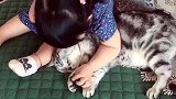 小宝贝靠着猫咪，真的特别可爱