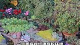 丽江做好一家民宿客栈，你知道要具备什么条件吗