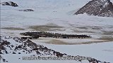 世界上最大“破冰船”，造价近70亿元，破冰的效果太震撼了！