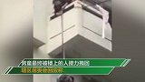 四川一老人用绳吊7岁孙子下楼救猫 居委会：已批评教育