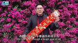 霍启刚郭晶晶夫妇恩爱贴春联甜蜜出镜送新年祝福