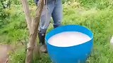 勤劳的农村人，农村生活