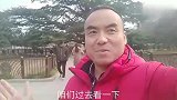 见过三岁小孩唱歌吗？成熟老练又不失可爱，全场观众都沸腾了！