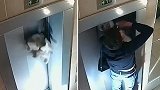 俄罗斯：一狗狗在电梯外被牵引绳勒脖吊起险丧命，幸被邻居救下