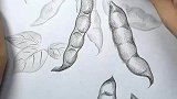 高手素描画，每一笔每一划都很到位