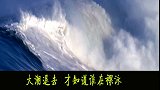 今年开年海底捞的市值为何跌去一半？ 财经  保险反诈季  海底捞