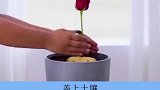 神奇的种植小技巧！