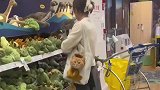 猫猫我啊，都有点儿社恐了