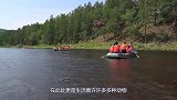 被毒蛇咬后动物会怎样？下一秒直接陷入癫狂，镜头拍下全过程