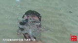 男子潜水，遇八爪鱼趴在护目镜上，死活不下来