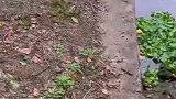 朋友和我说在桥下面钓鱼