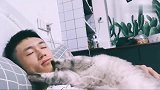 早上闹铃一响就过来粘人了