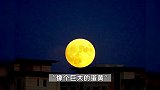 山西晋城天空现巨大的“蛋黄月亮” 目击者：特别震撼 第一次见