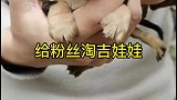 给粉丝淘一只小吉娃娃，吉娃娃宠物市场