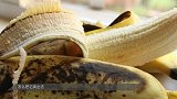海上闻人虞洽卿《李光斗观察》