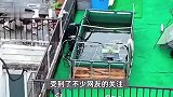 上海一居民楼顶“巨型鱼缸”已连夜拆除，投诉人却被打骨折？官方通报
