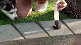 三哥爆笑剧场出来混迟早是要还的