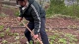 动手不动脑事情做不好
