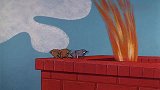 猫咪真是搞笑，两只老鼠太有趣，太有意思了
