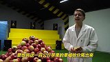 一百公斤苹果可以分离出多少果蜡？老外亲测，结果太意外了！
