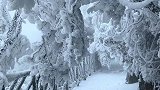 天门山的雪景美如画，银装素裹，玉树琼枝的洁白世界宛如童话世界