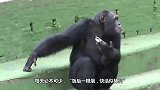 小伙把水蛭装瓶子，点燃了7根烟，看看吸烟的危害到底有多大