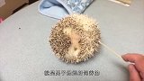 小刺猬也怕痒吗国外小伙用竹签测试，看完你认同这结论吗