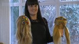 暖！英国开设爸爸美发学校 老爸们想给女儿编辫子直到结婚