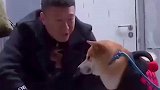 真是一对活宝，相爱相杀的戏码太搞笑了