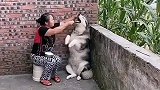 奶奶的爱总是那么朴实无华