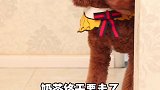 绿茶狗，人前一套，人后一套