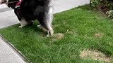 给我家凯凯发型都吹乱了
