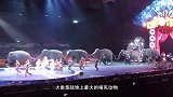 粉红色大象从眼前飘过，却被指出现错觉，路人的反应太逗了