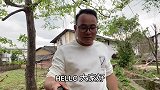 40条腿的蜈蚣大战6只蝼蛄，场面很壮观，结果出乎意料
