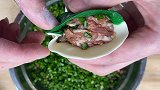 柳叶饺子这样捏，真是精致啊，看到成品，都有点舍不得吃了