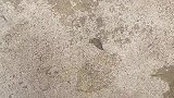 把我鞋子还给我吧