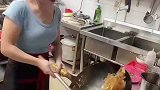 厨师请假了，老板娘亲自掌勺