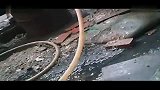 塑料瓶 二次污染回收路
