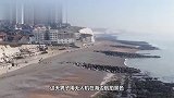 为捕食鸽子,海鸥趴地上假装晒太阳,下一秒鸽子悲剧了